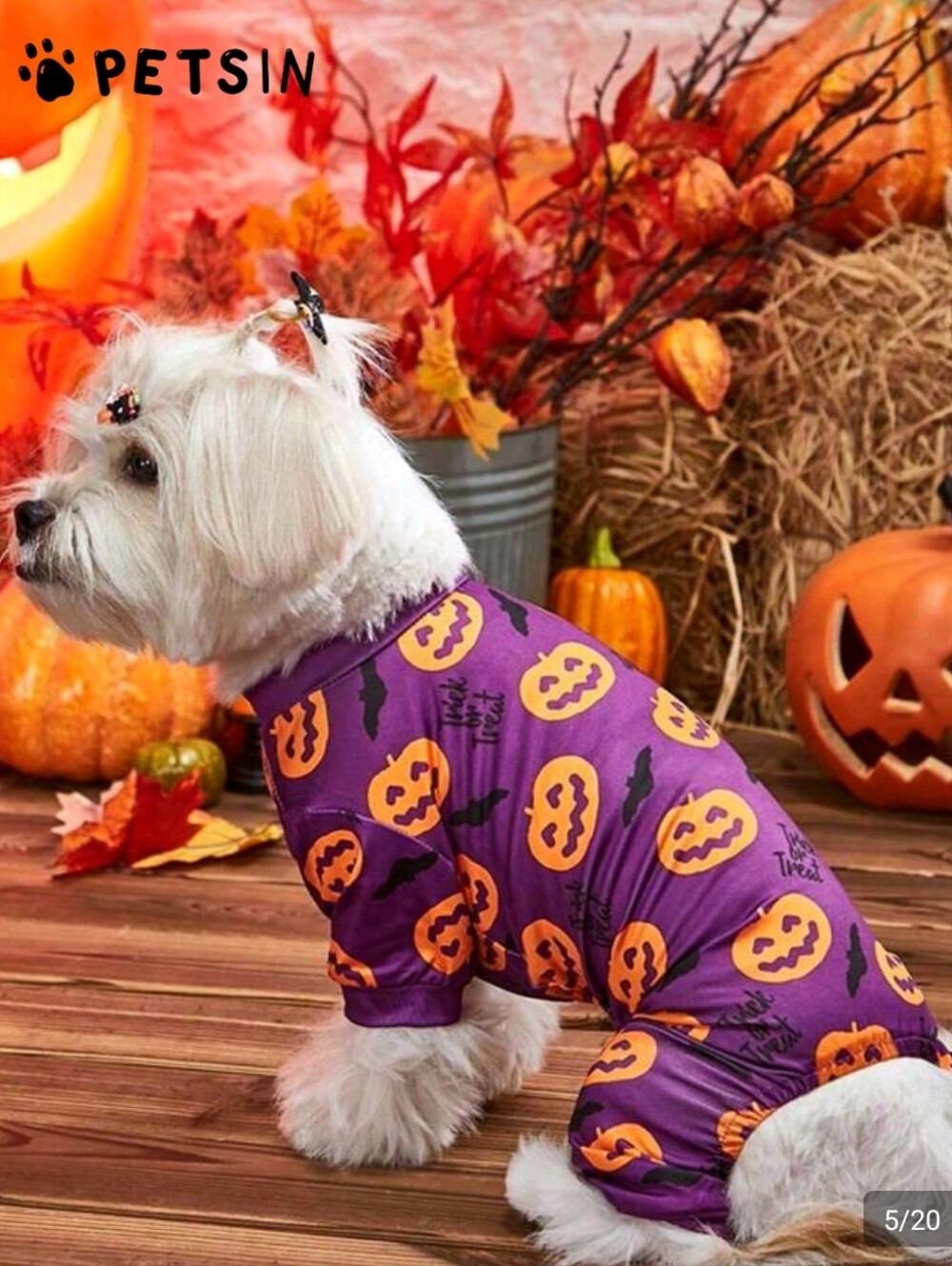 Dog Halloween Pumpkin Costume